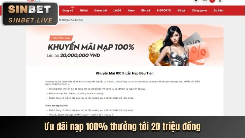 Biểu đồ tăng trưởng tỷ lệ cược cao